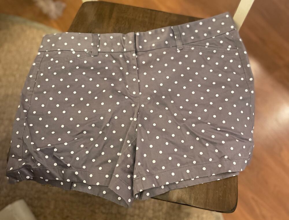 Ann Taylor Gray with White Dots Casual Shorts, A32